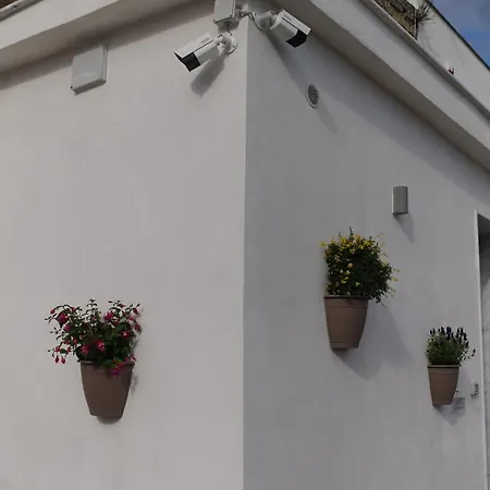 Vesuvio Capodichino Apartment *